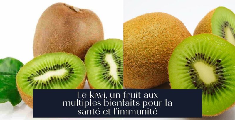 Le kiwi, un fruit aux multiples bienfaits pour la santé et l'immunité