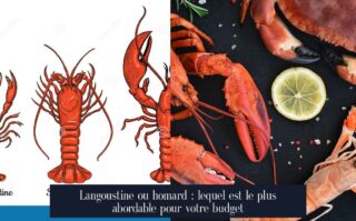 Langoustine ou homard : lequel est le plus abordable pour votre budget