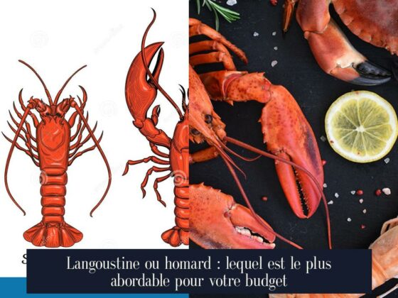 Langoustine ou homard : lequel est le plus abordable pour votre budget