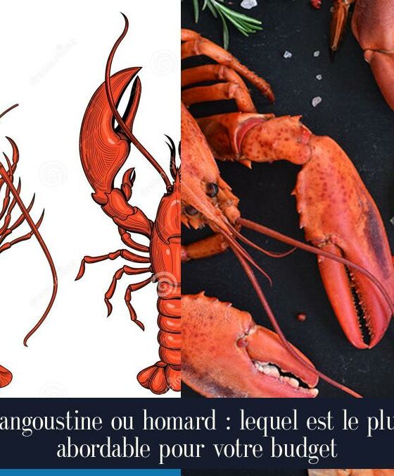 Langoustine ou homard : lequel est le plus abordable pour votre budget