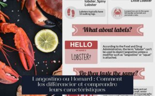 Langostino ou Homard : Comment les différencier et comprendre leurs caractéristiques