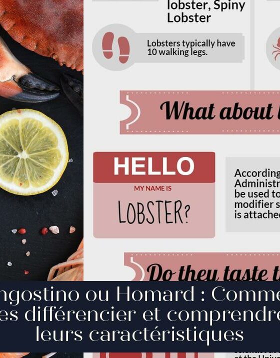 Langostino ou Homard : Comment les différencier et comprendre leurs caractéristiques