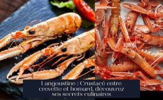 Langoustine : Crustacé entre crevette et homard, découvrez ses secrets culinaires