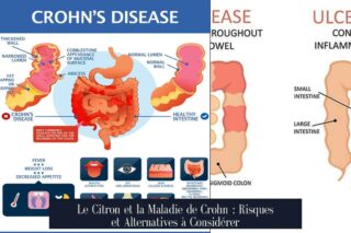 Le Citron et la Maladie de Crohn : Risques et Alternatives à Considérer