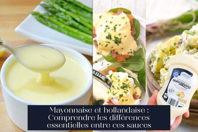 Mayonnaise et hollandaise : Comprendre les différences essentielles entre ces sauces