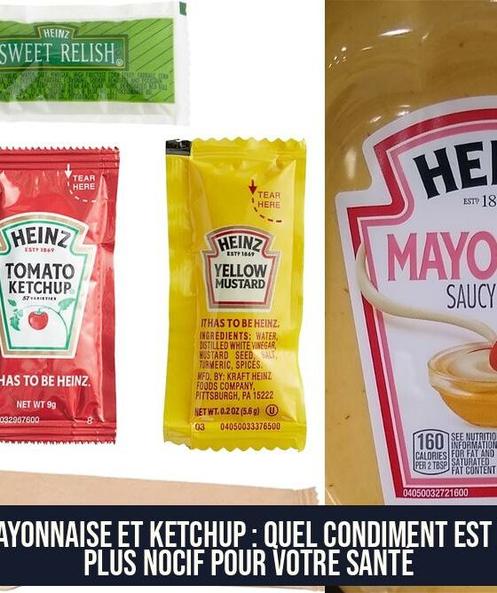 Mayonnaise et ketchup : Quel condiment est le plus nocif pour votre santé