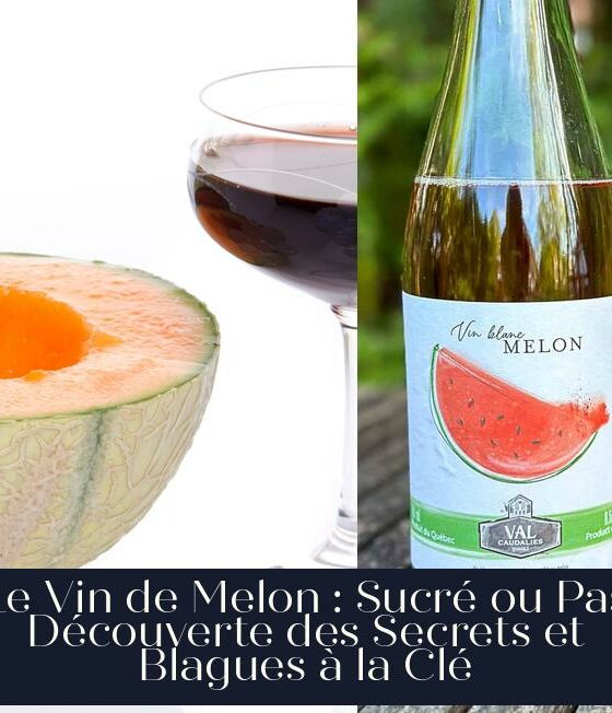 Le Vin de Melon : Sucré ou Pas Découverte des Secrets et Blagues à la Clé