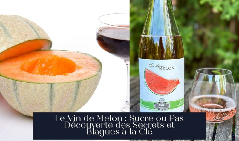 Le Vin de Melon : Sucré ou Pas Découverte des Secrets et Blagues à la Clé