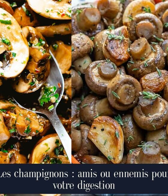 Les champignons : amis ou ennemis pour votre digestion