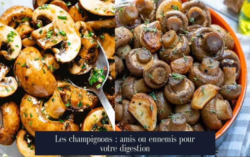 Les champignons : amis ou ennemis pour votre digestion