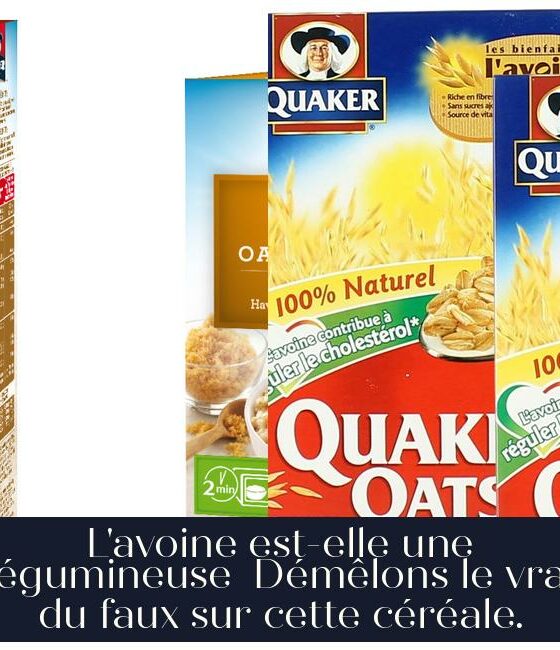 L'avoine est-elle une légumineuse Démêlons le vrai du faux sur cette céréale.