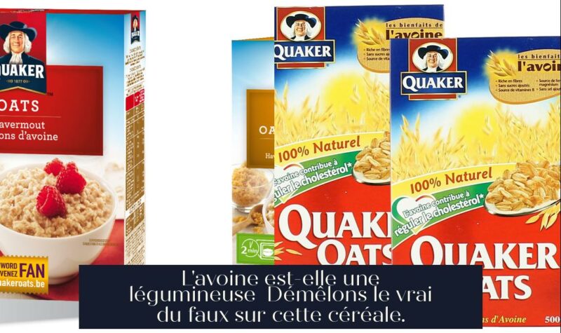 L'avoine est-elle une légumineuse Démêlons le vrai du faux sur cette céréale.