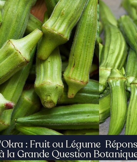 L'Okra : Fruit ou Légume Réponse à la Grande Question Botanique