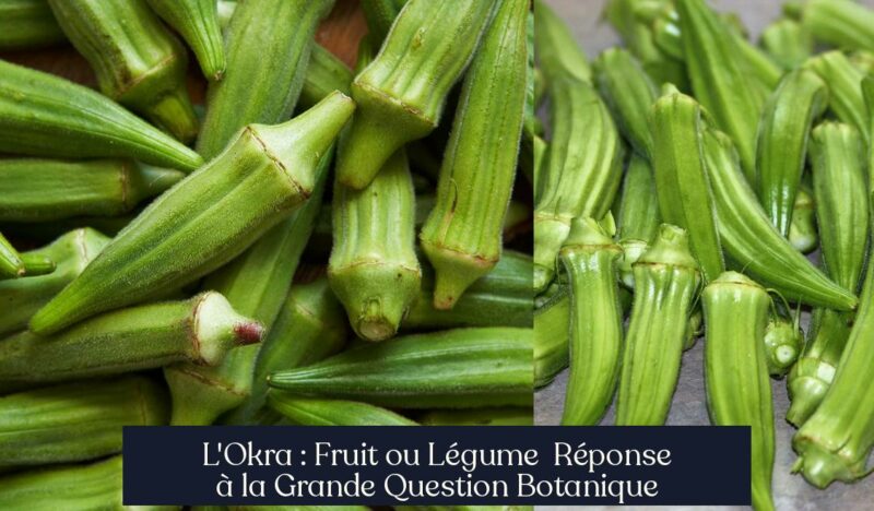 L'Okra : Fruit ou Légume Réponse à la Grande Question Botanique