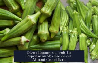 Okra : Légume ou Fruit La Réponse au Mystère de cet Aliment Croustillant