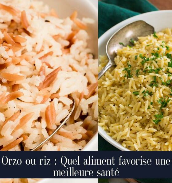 Orzo ou riz : Quel aliment favorise une meilleure santé