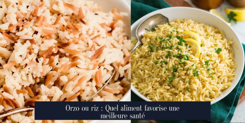 Orzo ou riz : Quel aliment favorise une meilleure santé