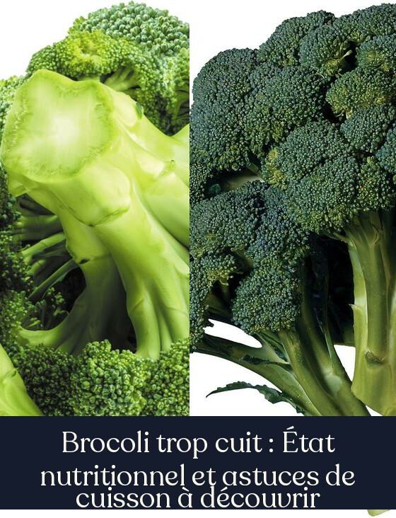 Brocoli trop cuit : État nutritionnel et astuces de cuisson à découvrir