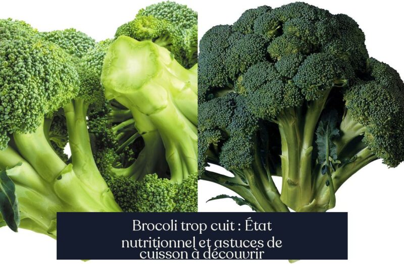 Brocoli trop cuit : État nutritionnel et astuces de cuisson à découvrir
