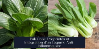 Pak Choi : Propriétés et Intégration d'un Légume Anti-Inflammatoire