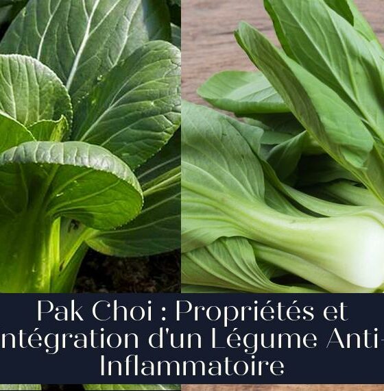 Pak Choi : Propriétés et Intégration d'un Légume Anti-Inflammatoire