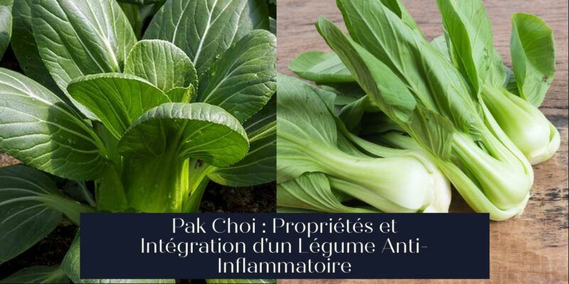 Pak Choi : Propriétés et Intégration d'un Légume Anti-Inflammatoire