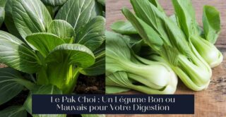 Le Pak Choi : Un Légume Bon ou Mauvais pour Votre Digestion