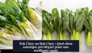 Pak Choy ou Bok Choy : Quel chou asiatique privilégier pour une meilleure santé