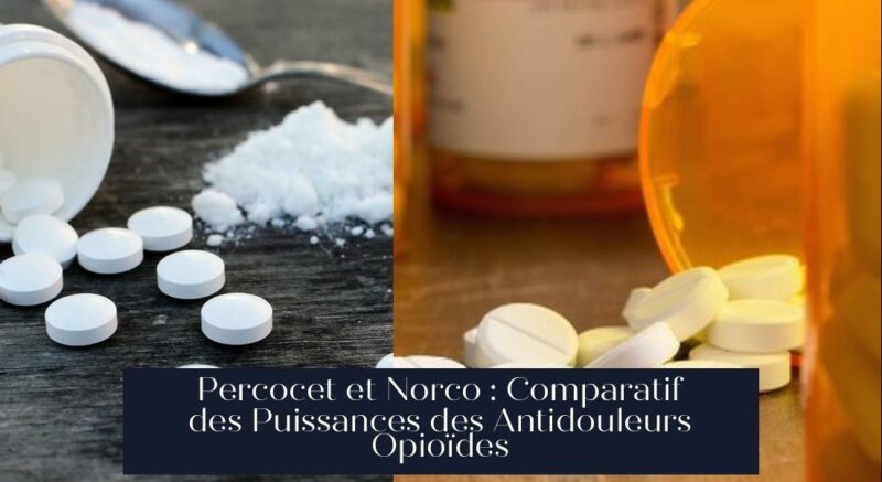 Percocet et Norco : Comparatif des Puissances des Antidouleurs Opioïdes