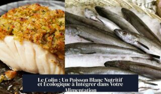 Le Colin : Un Poisson Blanc Nutritif et Écologique à Intégrer dans Votre Alimentation