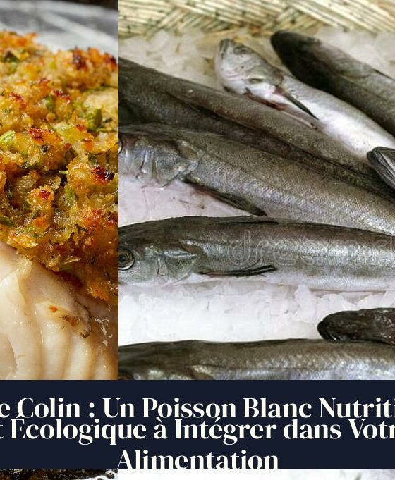 Le Colin : Un Poisson Blanc Nutritif et Écologique à Intégrer dans Votre Alimentation