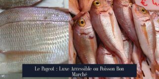 Le Pageot : Luxe Accessible ou Poisson Bon Marché