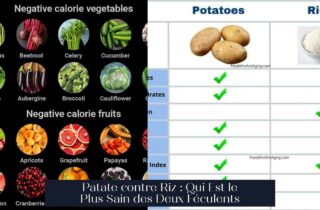 Patate contre Riz : Qui Est le Plus Sain des Deux Féculents