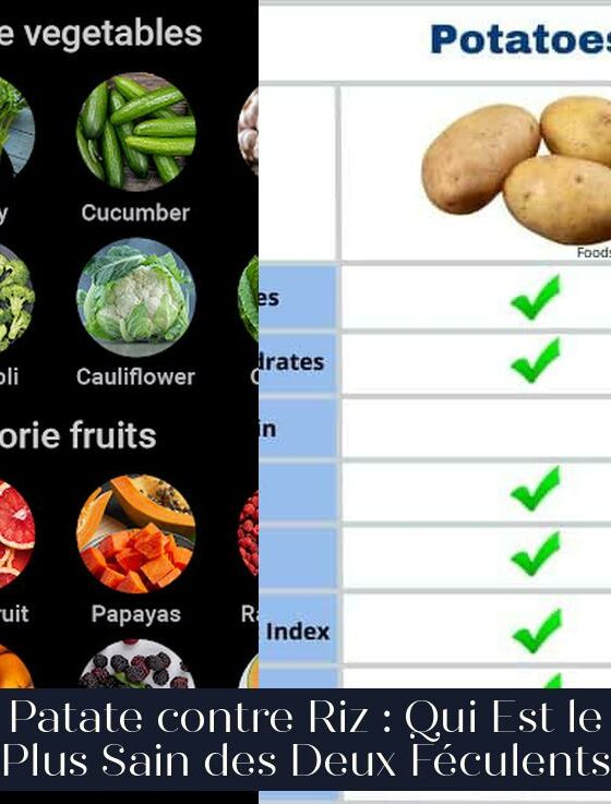 Patate contre Riz : Qui Est le Plus Sain des Deux Féculents