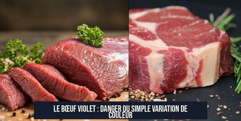 Le Bœuf Violet : Danger ou Simple Variation de Couleur