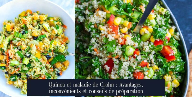 Quinoa et maladie de Crohn : Avantages, inconvénients et conseils de préparation