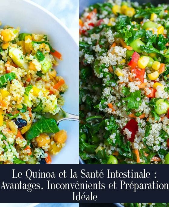 Le Quinoa et la Santé Intestinale : Avantages, Inconvénients et Préparation Idéale