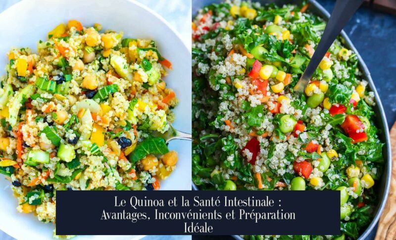 Le Quinoa et la Santé Intestinale : Avantages, Inconvénients et Préparation Idéale