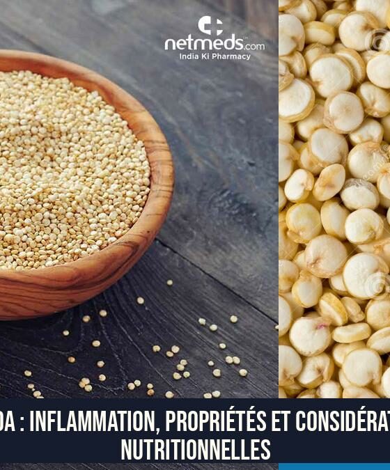 Quinoa : Inflammation, Propriétés et Considérations Nutritionnelles