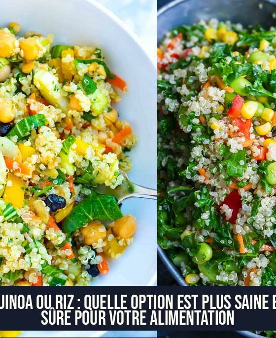 Quinoa ou Riz : Quelle Option est Plus Saine et Sûre pour Votre Alimentation