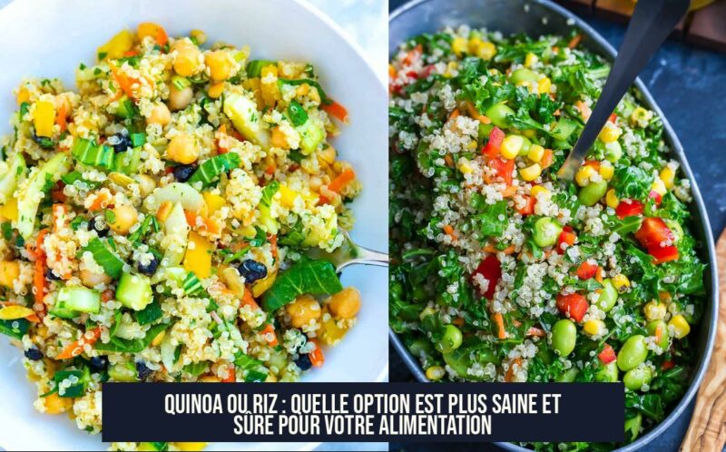 Quinoa ou Riz : Quelle Option est Plus Saine et Sûre pour Votre Alimentation