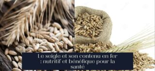 Le seigle et son contenu en fer : nutritif et bénéfique pour la santé