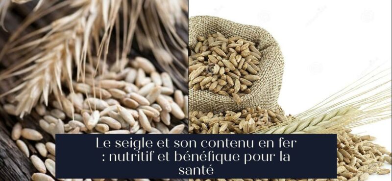 Le seigle et son contenu en fer : nutritif et bénéfique pour la santé