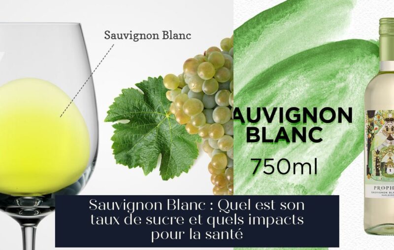 Sauvignon Blanc : Quel est son taux de sucre et quels impacts pour la santé