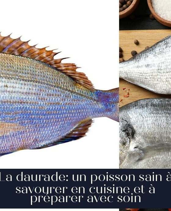 La daurade: un poisson sain à savourer en cuisine et à préparer avec soin