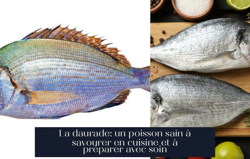 La daurade: un poisson sain à savourer en cuisine et à préparer avec soin
