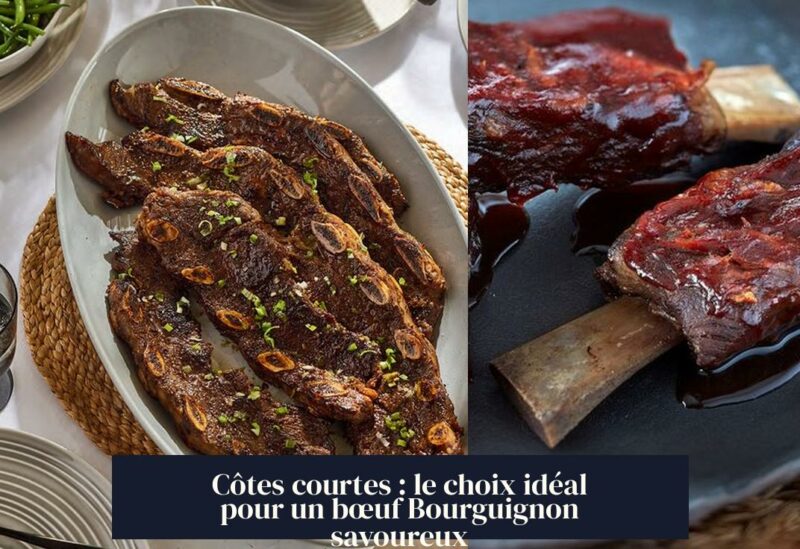 Côtes courtes : le choix idéal pour un bœuf Bourguignon savoureux