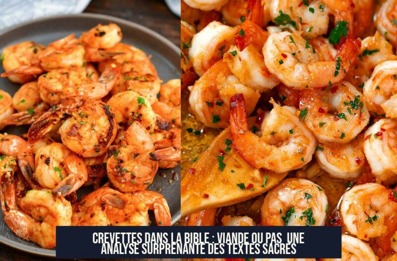 Crevettes dans la Bible : Viande ou pas Une analyse surprenante des textes sacrés