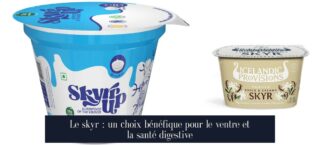 Le skyr : un choix bénéfique pour le ventre et la santé digestive