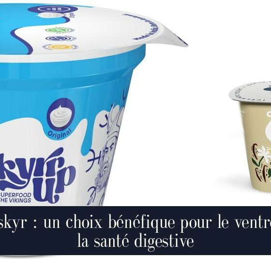 Le skyr : un choix bénéfique pour le ventre et la santé digestive